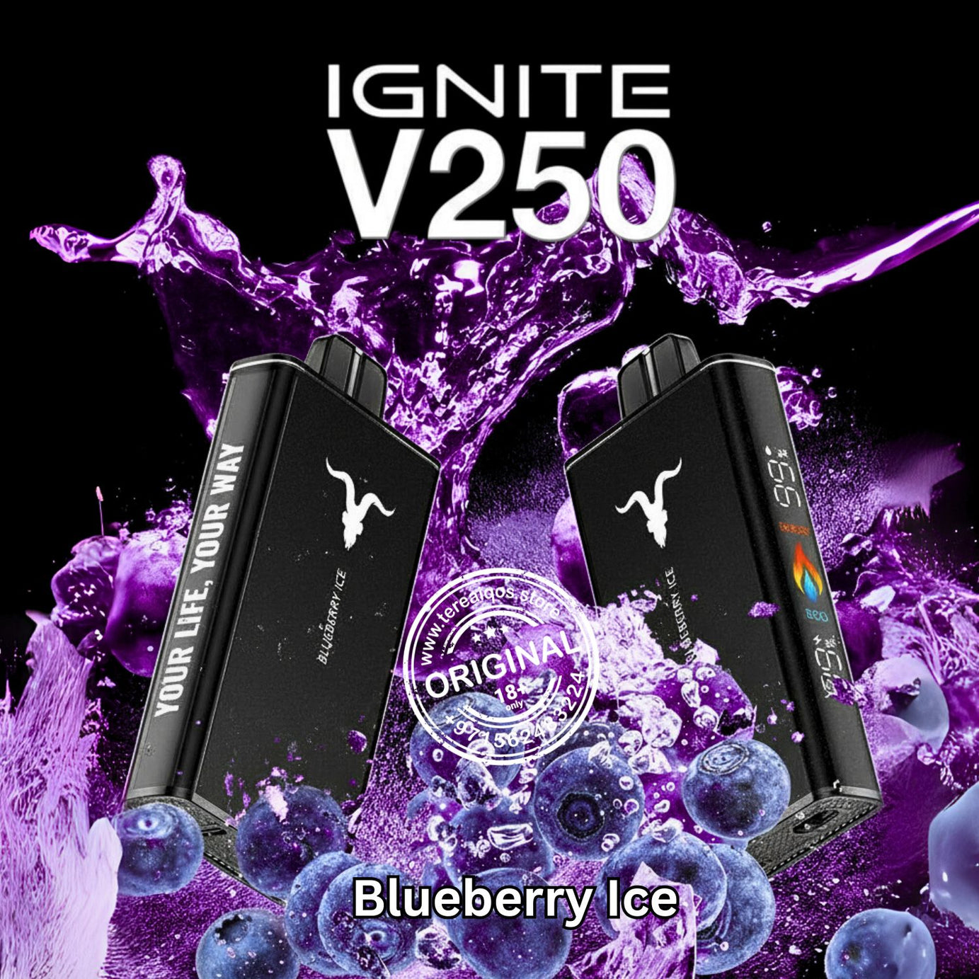 IGNITE V25 Disposable Vape 25000 Puffs Blueberry Ice Flavor