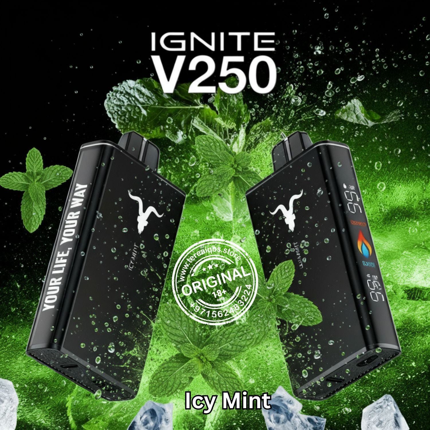 IGNITE V25 Disposable Vape 25000 Puffs Icy Mint Flavor