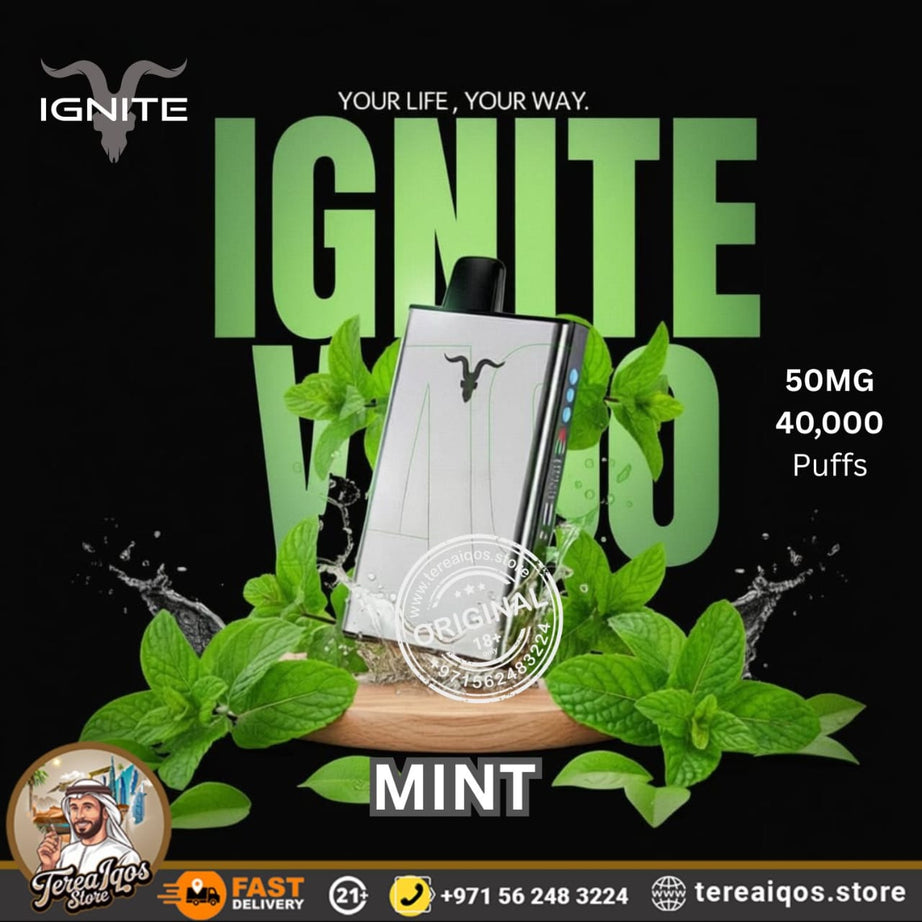IGNITE V400 40,000 Puffs Ice Rechargeable Disposable Vape Mint Flavor